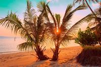 Papermoon Fototapete »Tropischer Sonnenuntergangsstrand«, samtig, Vliestapete, hochwertiger Digitaldruck