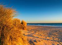 Papermoon Fotobehang Dunes Chelsea beach Australia