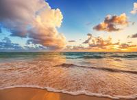 Papermoon Fototapete »Caribbean Beach«, glatt