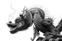 Papermoon Fototapete »Chinesischer Drache Schwarz & Weiß«, samtig, Vliestapete, hochwertiger Digitaldruck, inklusive Kleister