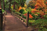 Papermoon Fotobehang Autumn Bridge