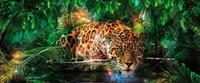 Consalnet Fotobehang Jaguar in de jungle
