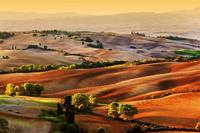 Papermoon Fototapete »Toskana Landschaft«, samtig, Vliestapete, hochwertiger Digitaldruck