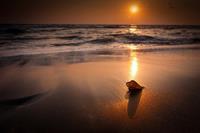 Papermoon Fotobehang Tropisch strand zonsondergang Vliesbehang, eersteklas digitale print