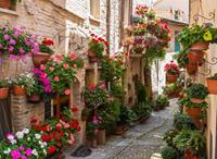 Papermoon Fotobehang Flower Alley in Spello