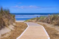 Papermoon Fotobehang Langeoog Dunes