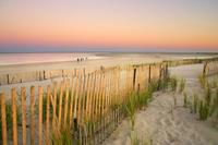 Papermoon Fotobehang Dunes cape Cod