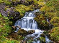 Papermoon Fotobehang Mountain stream in Dolomites