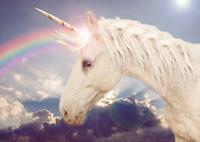 Papermoon Fototapete »Unicorn Rainbow«, glatt