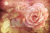 Papermoon Fototapete »Vintage Florals«, glatt