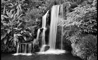 Papermoon Fotobehang Zwart-wit waterval fluwelig, vliesbehang, eersteklas digitale print