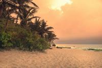Papermoon Fototapete »Sri Lanka Tangalle Strand«, samtig, Vliestapete, hochwertiger Digitaldruck