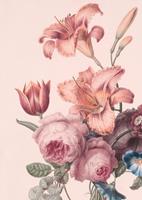 Art for the home Fototapete »Soft Blush Blüten«
