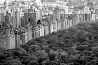 Papermoon Fototapete »Central Park Schwarz & Weiß«, samtig, Vliestapete, hochwertiger Digitaldruck, inklusive Kleister