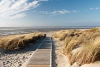 Papermoon Fototapete »Dunes in Langeoog«, glatt