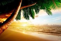 Papermoon Fototapete »Caribbean Beach Sunrise«, glatt
