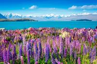 Papermoon Fotobehang Montain Lake with Flowers