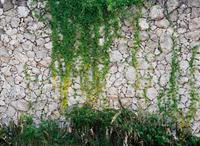 Living walls Fototapete »Natursteinmauer Vlies«, glatt, (1 St), 350 x 255 cm