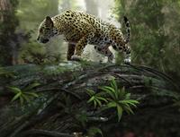 Papermoon Fotobehang Jaguar on the Prowl