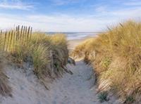 Papermoon Fotobehang Dunes in Bretagne