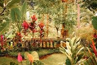Papermoon Fototapete »Fantasie tropischer Garten«, samtig, Vliestapete, hochwertiger Digitaldruck, inklusive Kleister