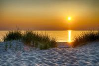 Papermoon Fotobehang Dunes Lake Michigan