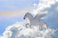 Papermoon Fotobehang Pegasus in the Clouds