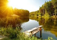 Papermoon Fototapete »Summer Forest Lake«, glatt