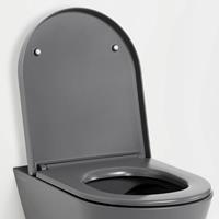 Kartell by LAUFEN WC-Sitz, abnehmbar, H8913337580001