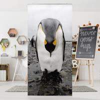 Bilderwelten Raumteiler Tiere Pinguine