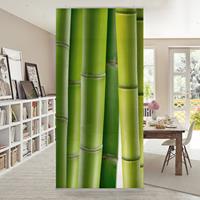 Klebefieber Raumteiler Bambuspflanzen