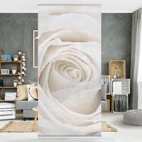 Klebefieber Raumteiler Pretty White Rose
