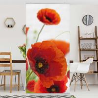 Klebefieber Raumteiler Radiant Poppies