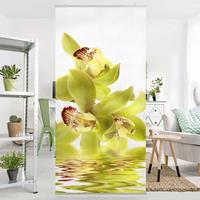 Klebefieber Raumteiler Splendid Orchid Waters