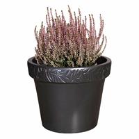Gartentraum.de Rundes Keramik Pflanzgefäß mit schöner Olivenblatt-Verzierung - Anthrazit - Frostsicher - Olea Niger / 32x40cm (HxDm)
