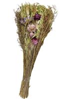 Zeitzone Trockenblumenstrauß Lila Dekoblumen Natur Blumenstrauß 42-45 cm