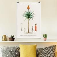 Bilderwelten Poster Botanik Vintage Illustration Aloe Orange Blüte