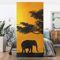 Bilderwelten Raumteiler Tiere African Elefant Walk
