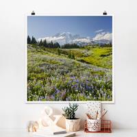 Bilderwelten Poster Blumen - Quadrat Bergwiese mit Blumen vor Mt. Rainier