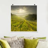 Bilderwelten Poster Natur & Landschaft - Quadrat Sonnenstrahlen Weinberg