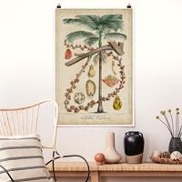 Bilderwelten Poster Vintage Lehrtafel Exotische palmen II