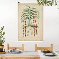 Bilderwelten Poster Vintage Lehrtafel Exotische Palmen IV