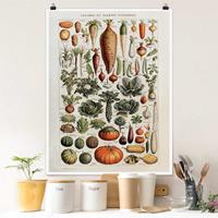 Bilderwelten Poster Vintage Lehrtafel Gemüse