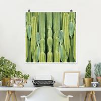 Bilderwelten Poster Blumen - Quadrat Kaktus Wand