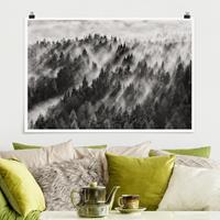 Bilderwelten Poster Natur & Landschaft - Querformat Lichtstrahlen im Nadelwald