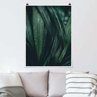 Bilderwelten Poster Blumen - Hochformat Grüne Palmenblätter