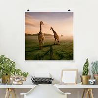 Bilderwelten Poster Tiere - Quadrat Surreal Giraffes