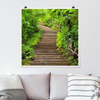 Bilderwelten Poster Natur & Landschaft - Quadrat Treppenaufstieg im Wald