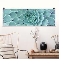 Bilderwelten Panorama Poster Blumen Kaktus Agave