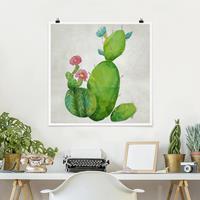 Bilderwelten Poster Blumen - Quadrat Kaktusfamilie rosa türkis